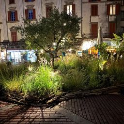 Impianto di illuminazione Landscape Festival 13