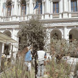 impianto di iluminazione al landscape festival 2025 13